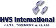Logo HVS International